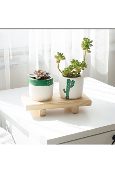 IMKER HOME Dekoratif Ahşap Saksılık Çiçeklik Sukulent Altlığı Ayaklı Yükselti...