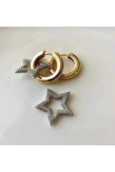 Mcgsteel A Quality Steel Zircon Vip Earrings