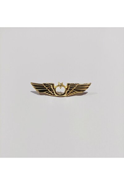 Havacı Uçuş Dünyası Bröve , Sivil Havacılık Rozet