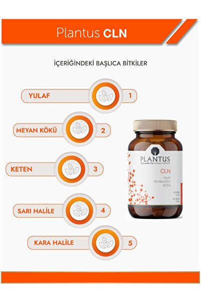 Plantus Cln | Yulaf, Meyan Kökü Ve Keten Içeren Bitkisel Takviye – 60 Kapsül | Sindirim Sağlığı