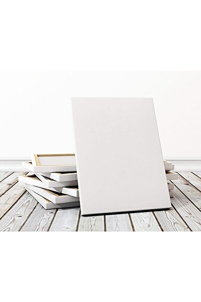 Lona Profesyonel Tuval 80x120 cm