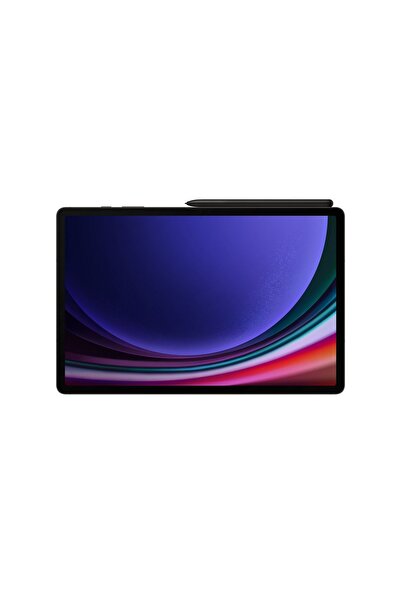 Samsung Galaxy Tab S9 12 Gb Ram 256 Gb Gray