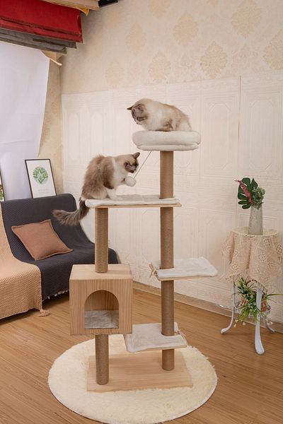 RAIKOU Lissa Cat Scratching Area - Comfortable Cutting