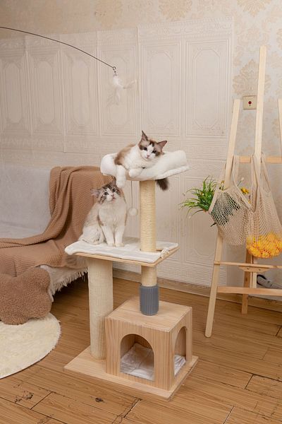 RAIKOU Mona Cat Scratching Area