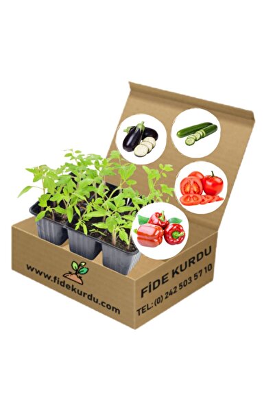 ARAZİ TARIM Arazi Tarım Sebze Fidesi Hobi Seti 50 Adet Sebze Fidesi