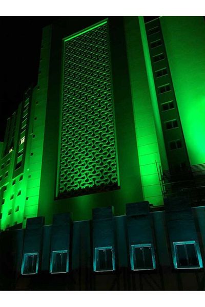 ACK 9X1W Green Ip65 27cm Led Wallwasher