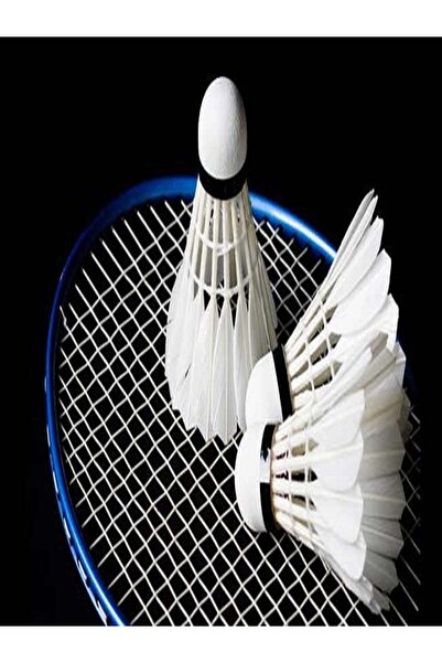 Okare Badminton Filesi 4 M X 75 Cm - 1mm Ip Kalınlığı - 2x2 Göz Aralığı - Flm88- Spor