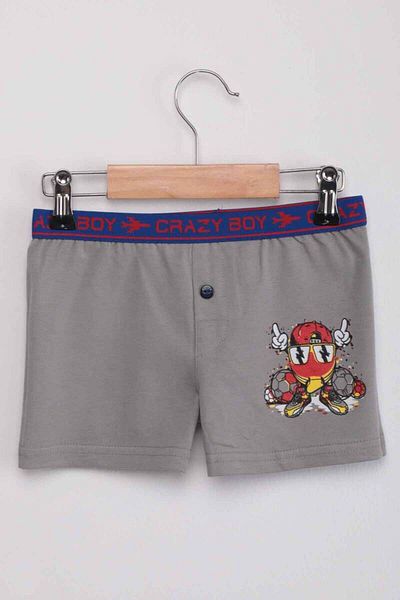 Tutku Boy Gray Boxer - Ball Printed, Model 253