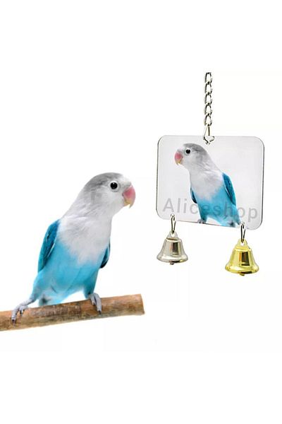 Alice Double Sided Cage Mirror with Bell - Toy and Bird Decorative Mirror