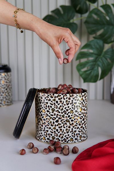 EVLE Er004-v4 Leo Patterned Oval Metal Storage Container 11x15 Cm