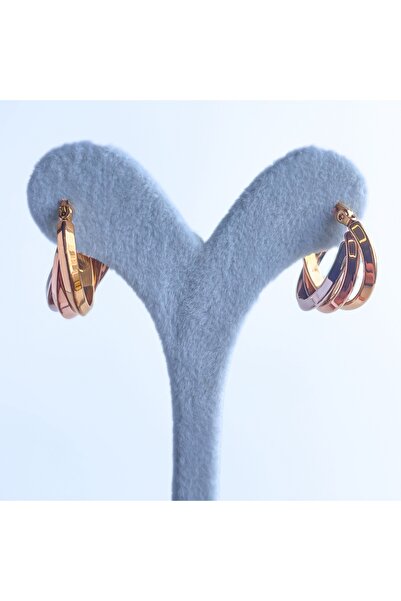 luzzen Üç Renk İç İçe Halka Çelik Küpe