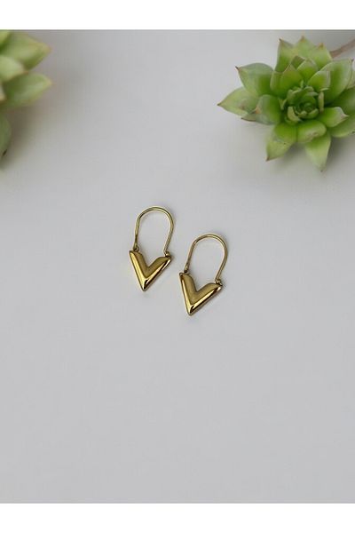 Brillo V Model Steel Earrings