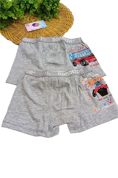 dinamik çocuk Boy's 95% Cotton Printed 2-Piece Boxer