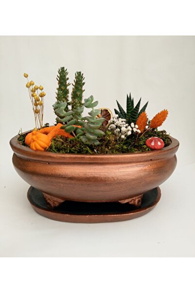 Bonsai Saksı Tabaklı 27 Cm Bakır Renk