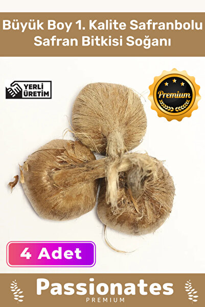 Armoris Deluxe Özel Dikime Hazır Yerli Üretim Büyük Boy 1. Kalite Safranbolu ...