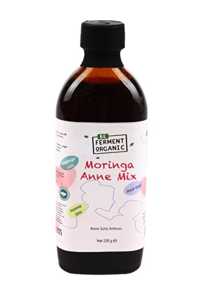 BEORGANİC Organik Anne Mix 220 G