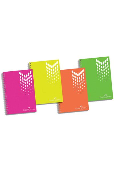 Faber Castell 100 de coli 3 carouri 1 blocnotes cu compartimente cu rigle