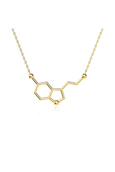 İNDİGO TAKI Serotonin Mutluluk Hormonu Altın Kaplama Gümüş Kolye