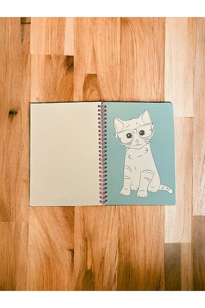 TAROS KIRTASİYE STUDIO PETS CAT DOG FIGURED PAINTING
