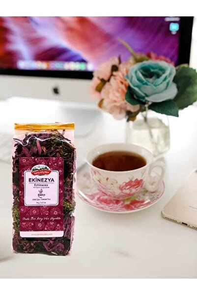 Karşı Köyden Ekinezya, Echinacca, Conflower, Echinacea Angustifolia, 40 G