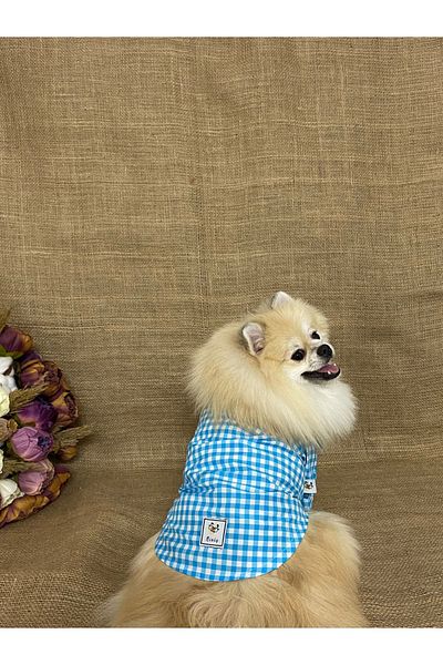 MARİA PET FASHİON Dog Cat Clothes & Dress & Shirt