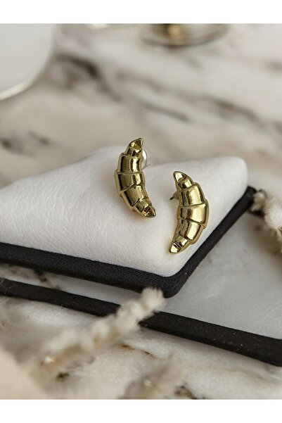 Brillo أقراط كوروفاسان من الفولاذ