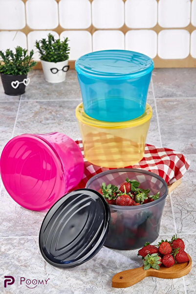 Poomy 4'lü Set - Şeffaf Renkli Saklama Kabı Seti- 2300 ml