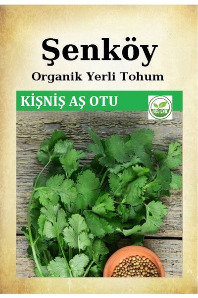 Şenköy Yerli Kişniş Tohumu Doğal Ata Geniş Yaprak Aş Otu Tohum Pakette 25 gr ...