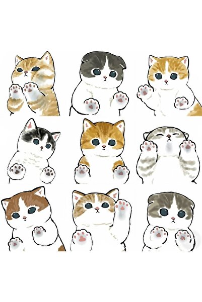 LikyaDükkan Cats Cats Good Mood Design special autocolant autocolant