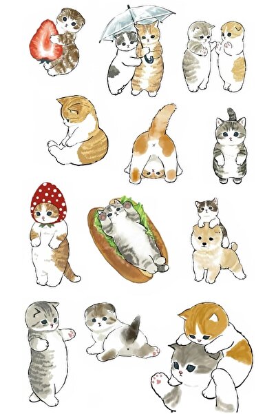 LikyaDükkan Cats Cats Good Mood Design special autocolant autocolant