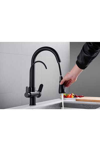 OEM Kitchen Sink Faucet Dual Flow Water Purification Outlet with Sprinkler New Black