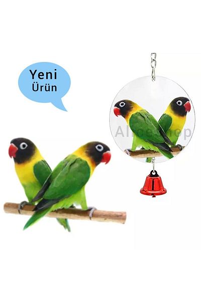 Alice Double Sided Cage Mirror - Toy Circle Shaped Accessory with Bells