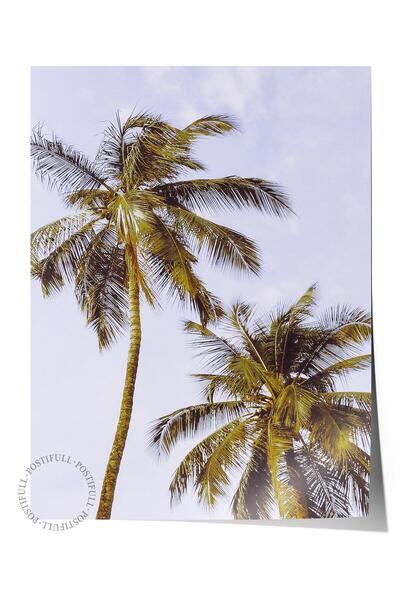 Postifull Çerçevesiz Poster, Yaz Temalı Tablo NO:36, Yalnız Palmiye Fotoğrafı...