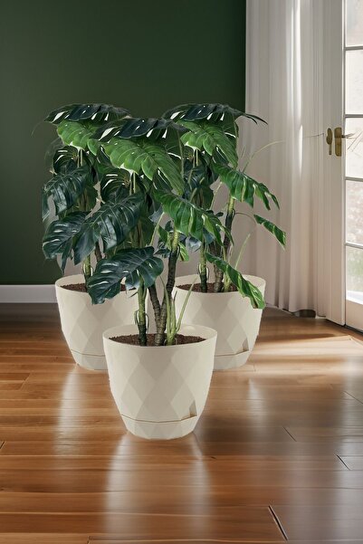 No4 3 Pieces 4.8 Liter Karasu Plastic Yakamoz Pot