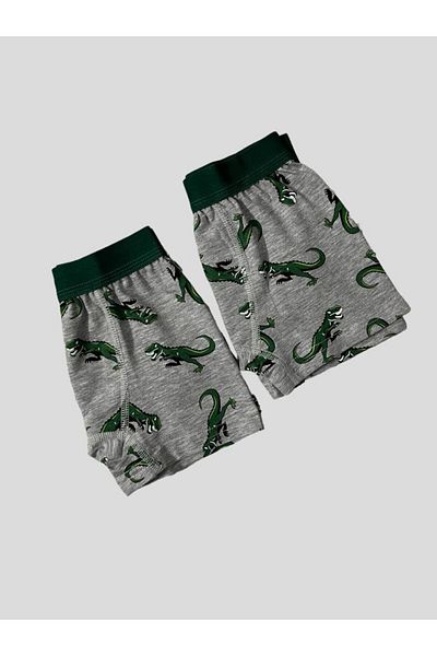 elmas kids Boy's Cotton Dinosaur Patterned Gray Wide Elastic 2-Piece Boxers
