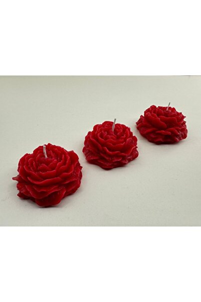 ALSARE Suda Yüzen 3'lü Şakayık Mum Kırmızı Söz,nişan,düğün,hediye