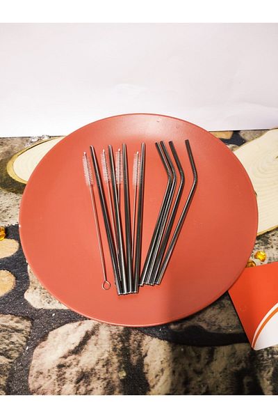 Mitra 8 Pieces Metal Straw