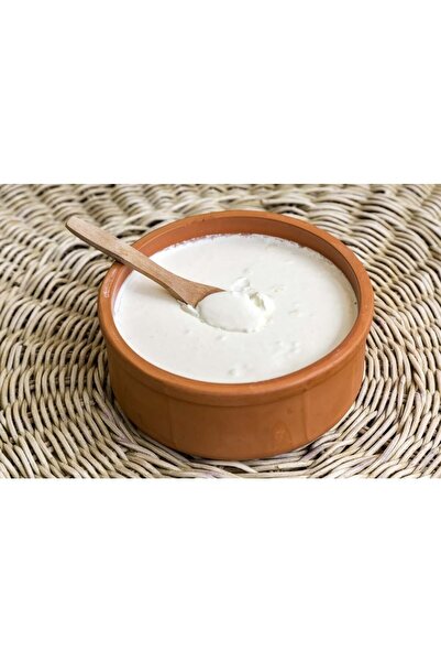 HerşeyTopraktan Toprak Sırlı Yoğurtluk 1 Litre 2 Adet