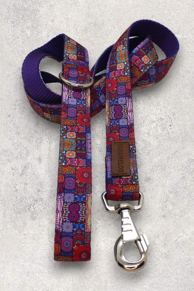CARAMELOS Dog Collar Set - Strap with Body Collar and Walker