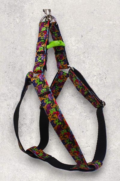 CARAMELOS Dog Collar Set - Strap with Body Collar and Walker