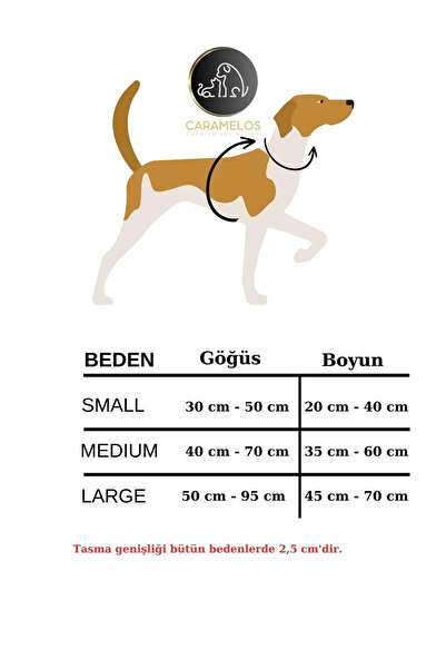 CARAMELOS H Tipi Köpek Tasma Seti-(GÖĞÜS+GEZDİRME) Köpek Göğüs Tasması-Orta-Büyük Irk