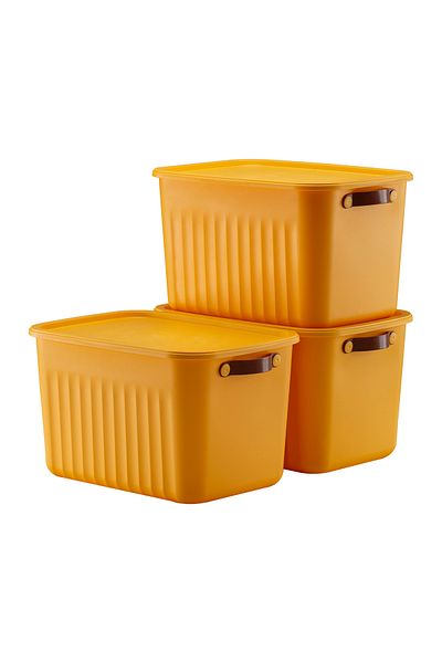 LIUWA 15 Lt Capacity 3 PCS Storage Box Mix - Organizer and Storage Box