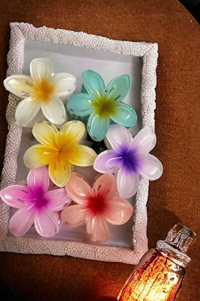 TETHOME Rengarenk Lotus Çiçeği Mandal Toka 6'lı Büyük Boy (8 Cm)