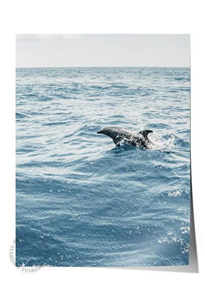 Postifull Poster fără ramă, pictură cu tematică de vară NR:117, fotografie cu...