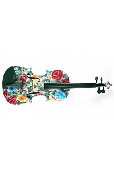 KINGLOS Kng Ly-1102a Renkli Keman 4/4 Kutulu