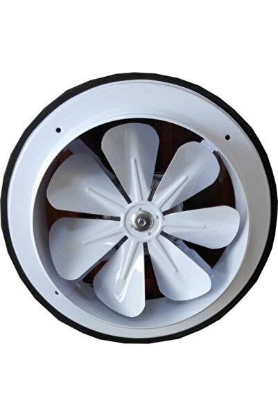 BVN Bahçıvan Bb 300 Kapaksız Aksiyel Aspiratör 1150 M³/h Debi 29.8 cm