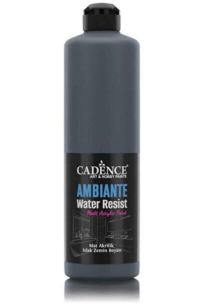 Cadence Ambiante Islak Zemin Boyası Aw23 Antrasit Siyah 500ml + Katalizör 20gr