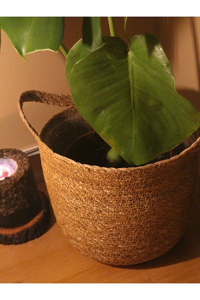 Paganca Плетена вътрешна саксия/кошница/органайзер със защитна дръжка, малък размер