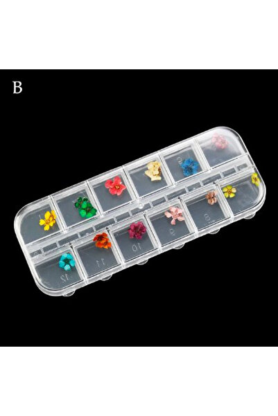 Nail Room Nail Art Kuru Çiçek Seti – 12’li, Manikür Süsleme No:1