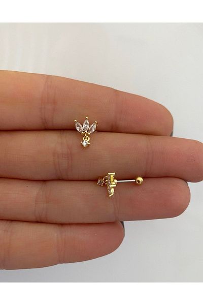 Arescollection الجراحية الصلب الزنمة محارة اللولب الفص ثقب القرط متوافق